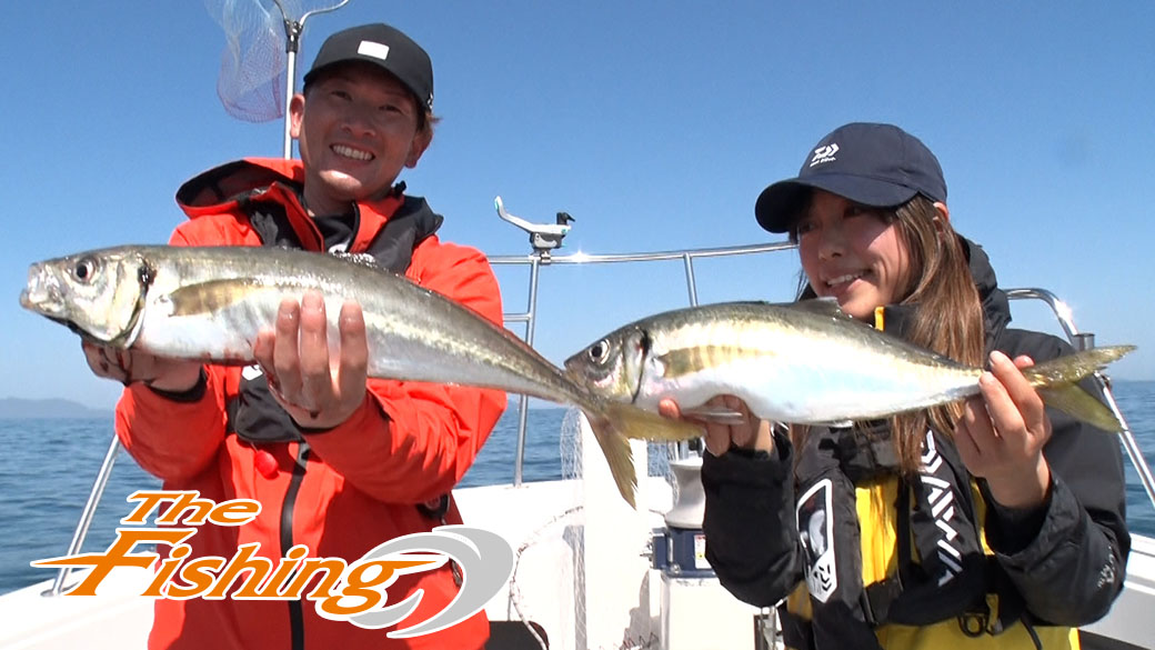 50cmオーバー！瀬戸内海サビキで狙う大アジ