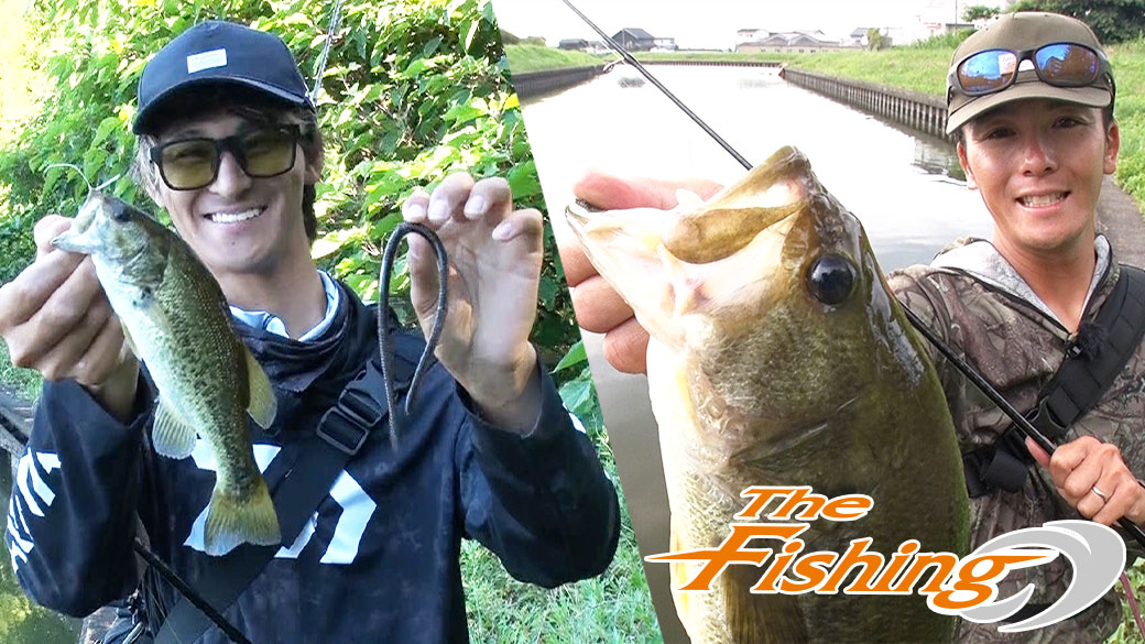 陸っぱりで攻略する SUMMER BASSFISHING