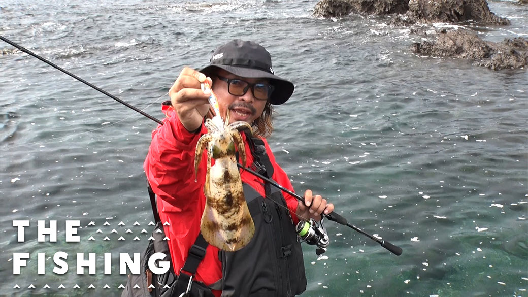 磯を駆け回る!<br>鹿児島ランガンエギング