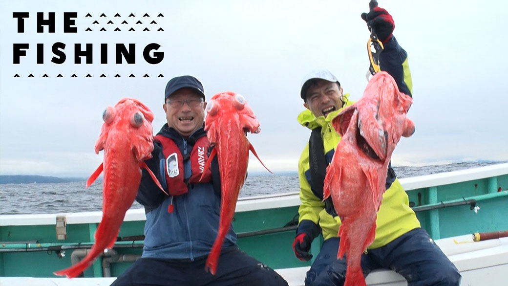 狙うは水深1000m!<br>深海に潜む高級魚ベニアコウ
