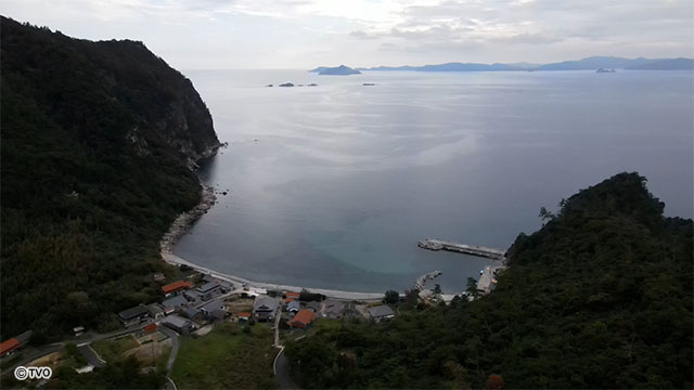 external_image