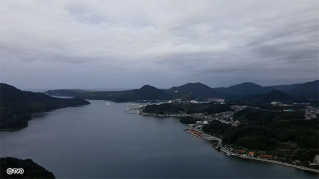 external_image