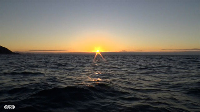 external_image