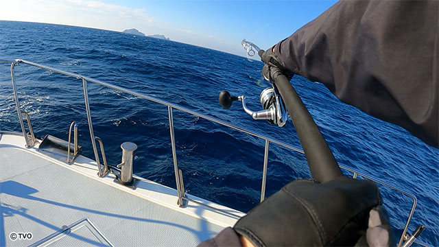 external_image