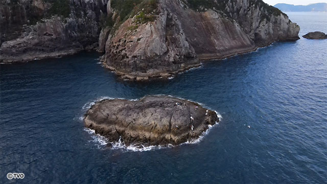 external_image