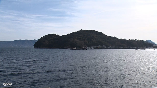 external_image