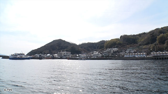 external_image
