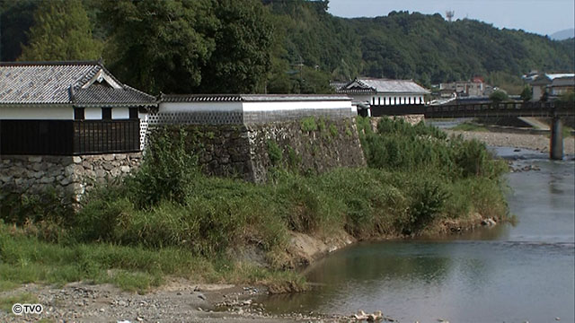 external_image
