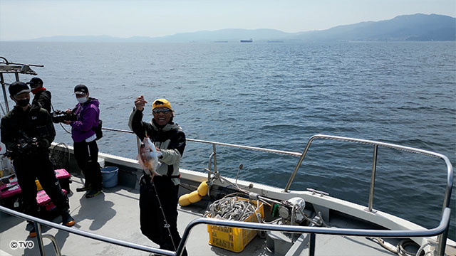 external_image