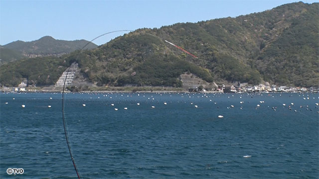 external_image