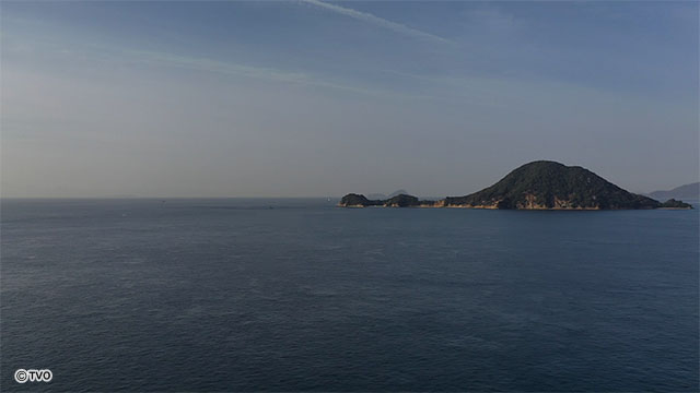 external_image