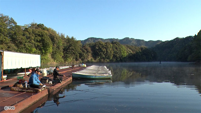 external_image