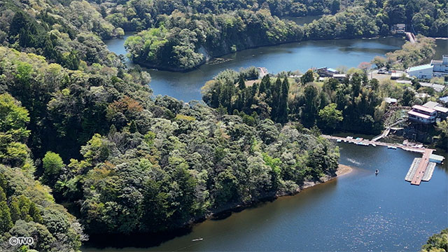 external_image