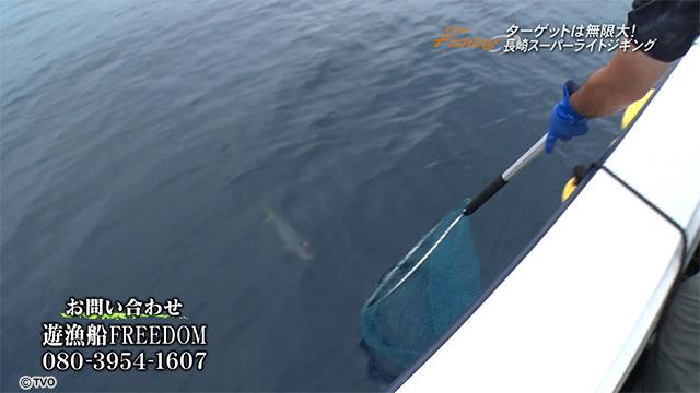 external_image