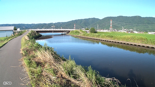 external_image