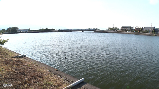 external_image