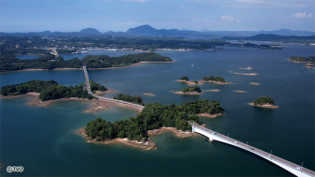 external_image