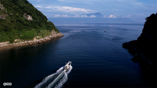 external_image