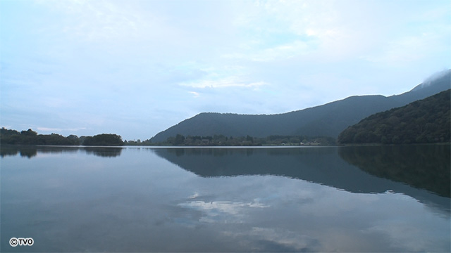 external_image