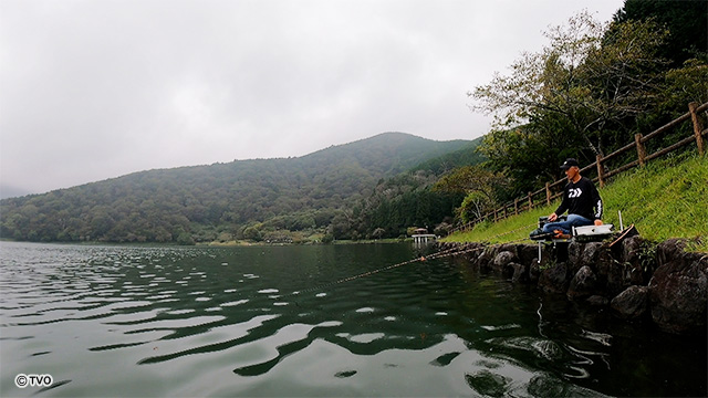 external_image