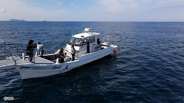 external_image