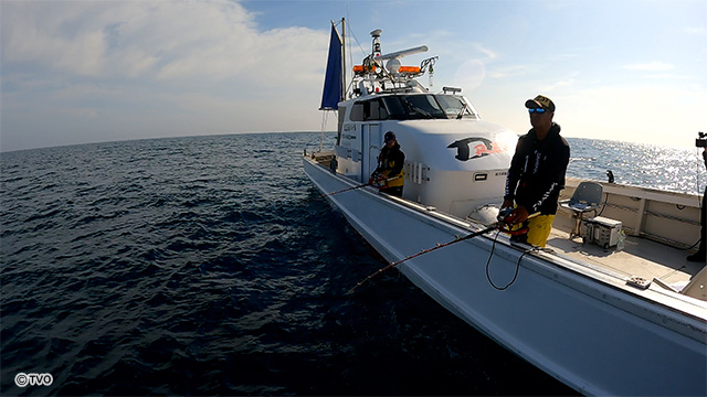 external_image