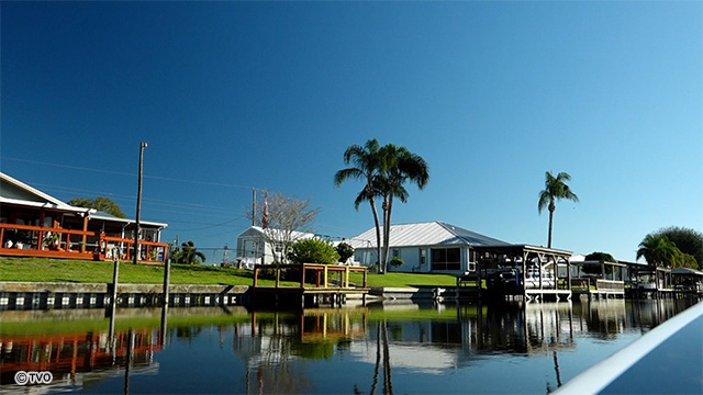 external_image