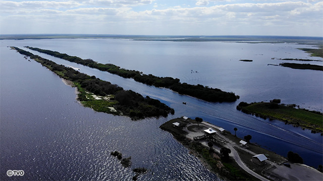 external_image