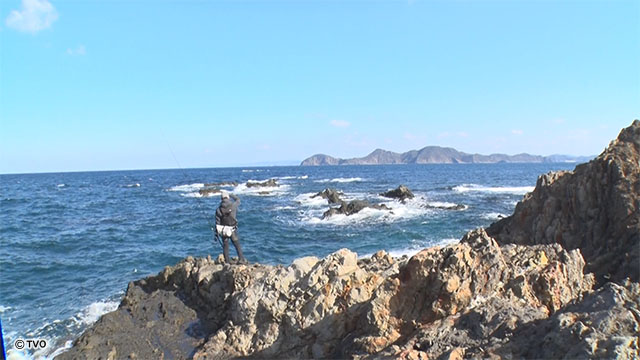 external_image