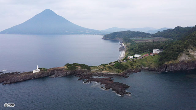 external_image