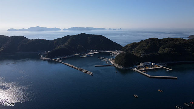 external_image