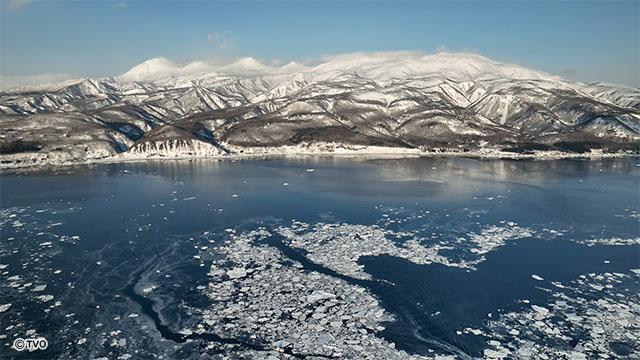 external_image