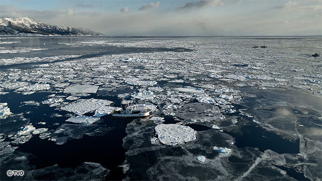 external_image