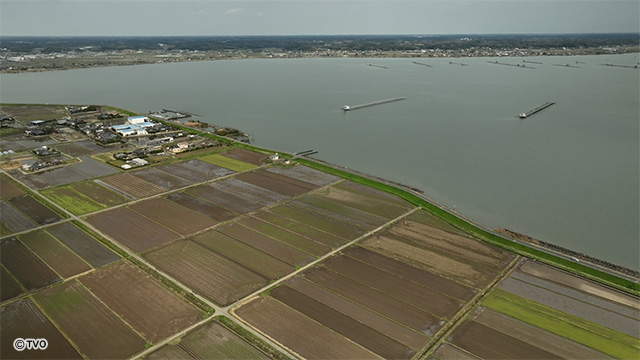 external_image