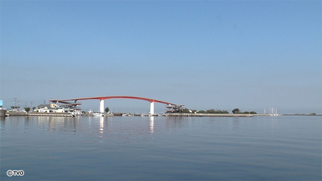 external_image