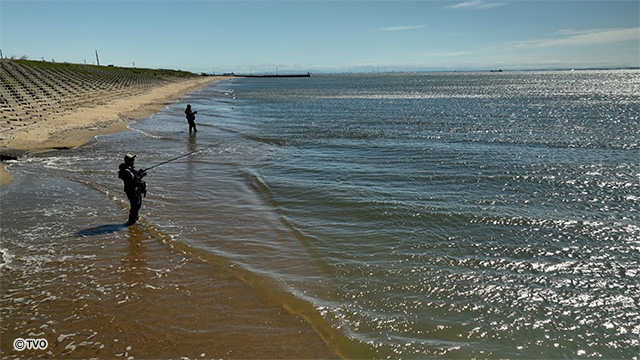 external_image