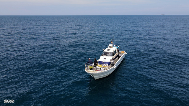 external_image