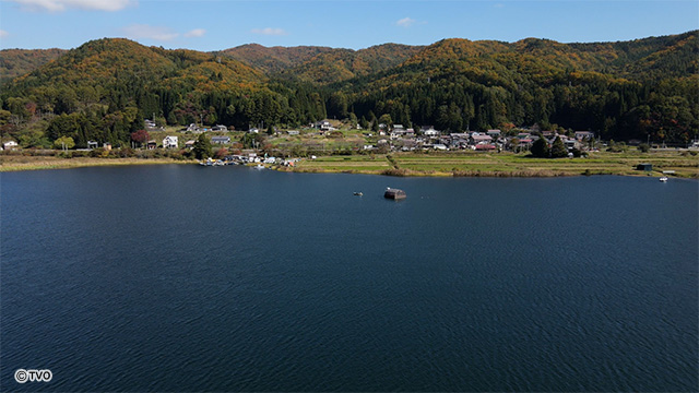 external_image