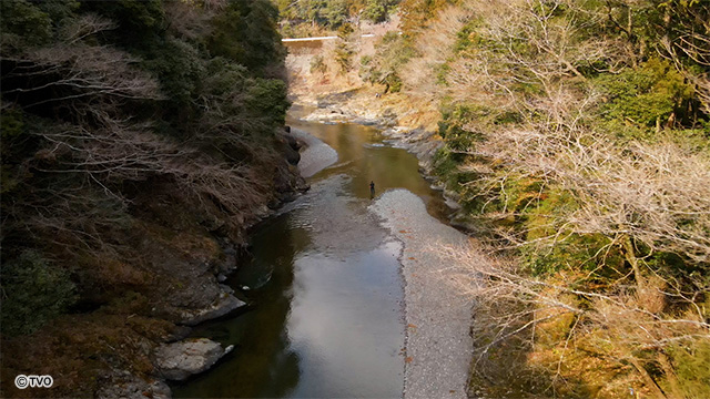 external_image