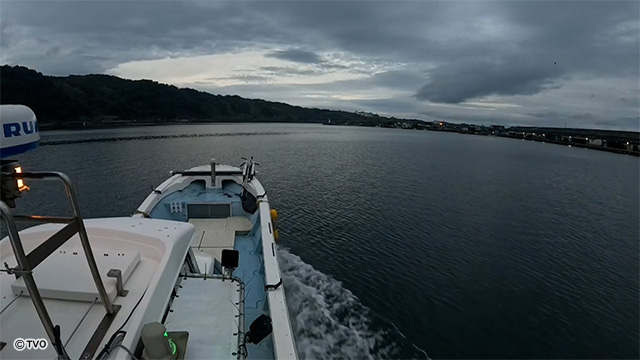 external_image