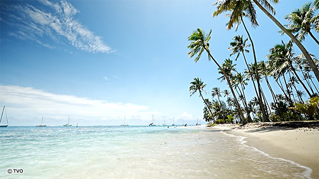 external_image
