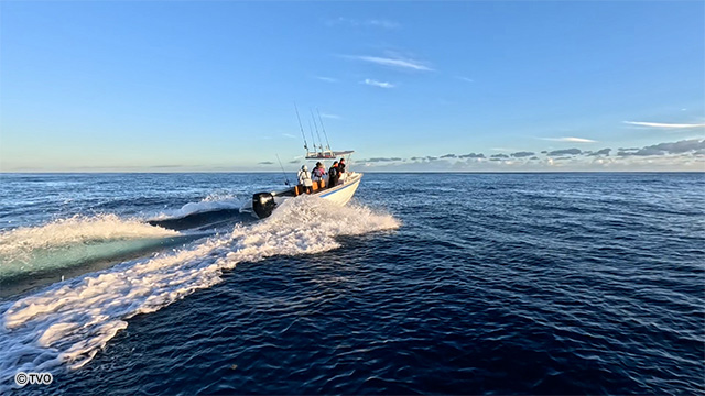external_image