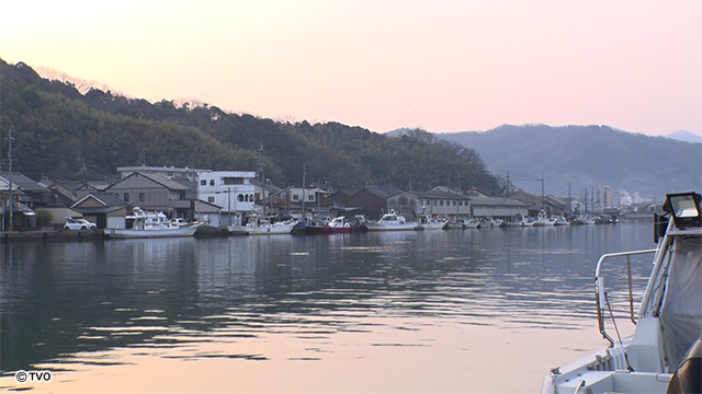 external_image