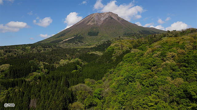 external_image