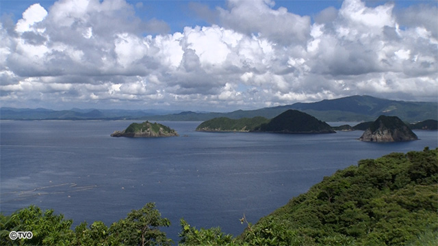 external_image