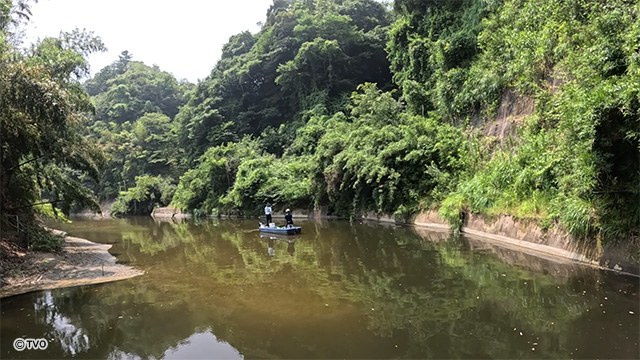 external_image