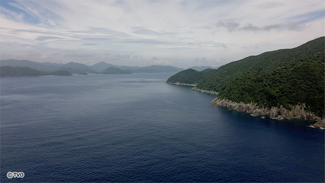 external_image