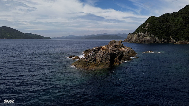 external_image