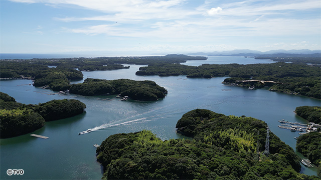 external_image