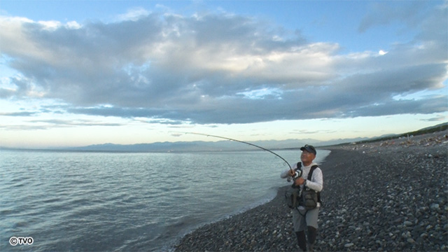 external_image